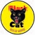 Black Cat Fireworks for Sale