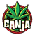 Ganja